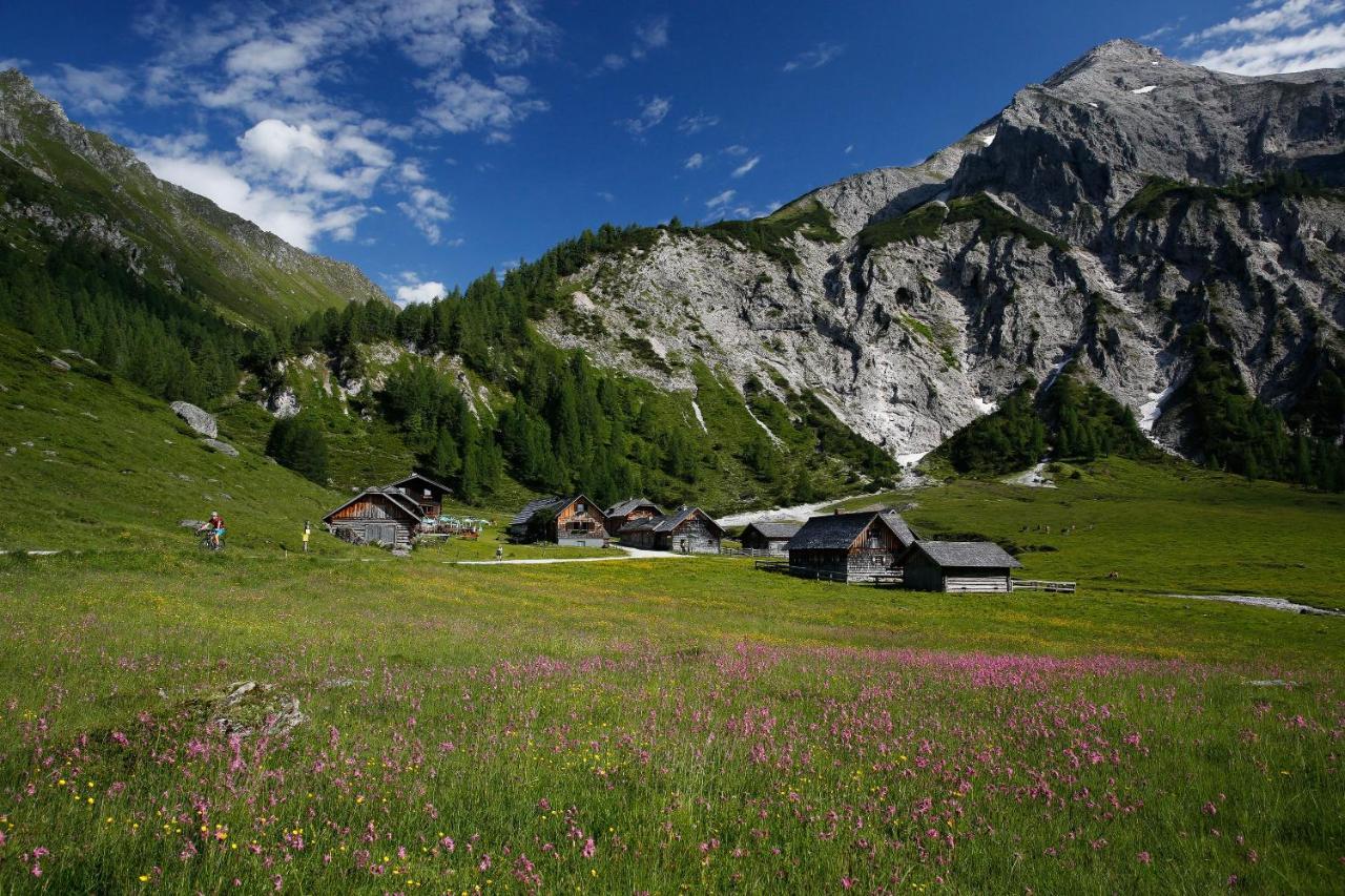 Apartments Haufhof , Haus Im Ennstal Bei Schladming Bagian luar foto